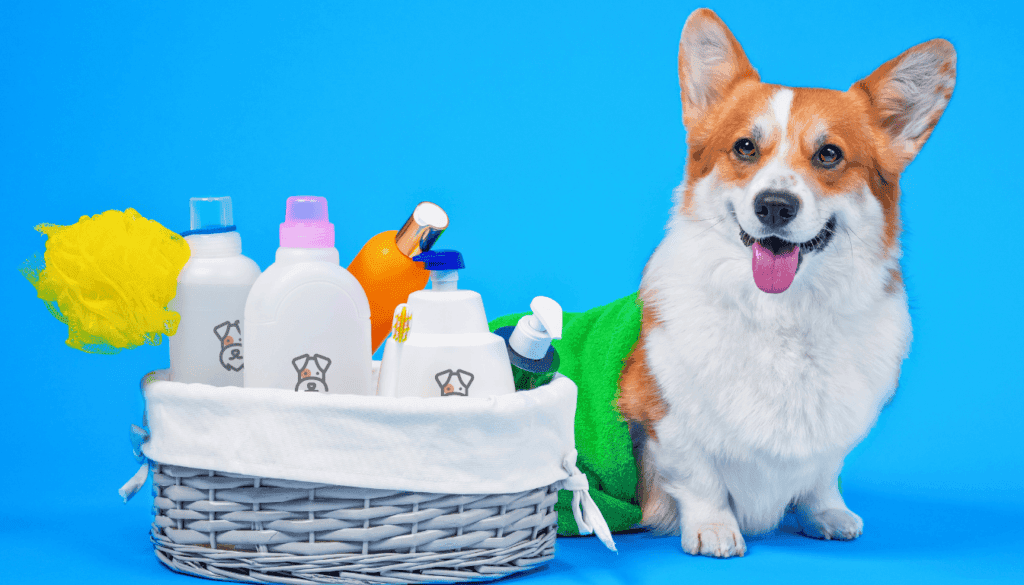 homemade Shampoo for Dogs With Sensitive Skin homemade Shampoo for Dogs With Sensitive Skin