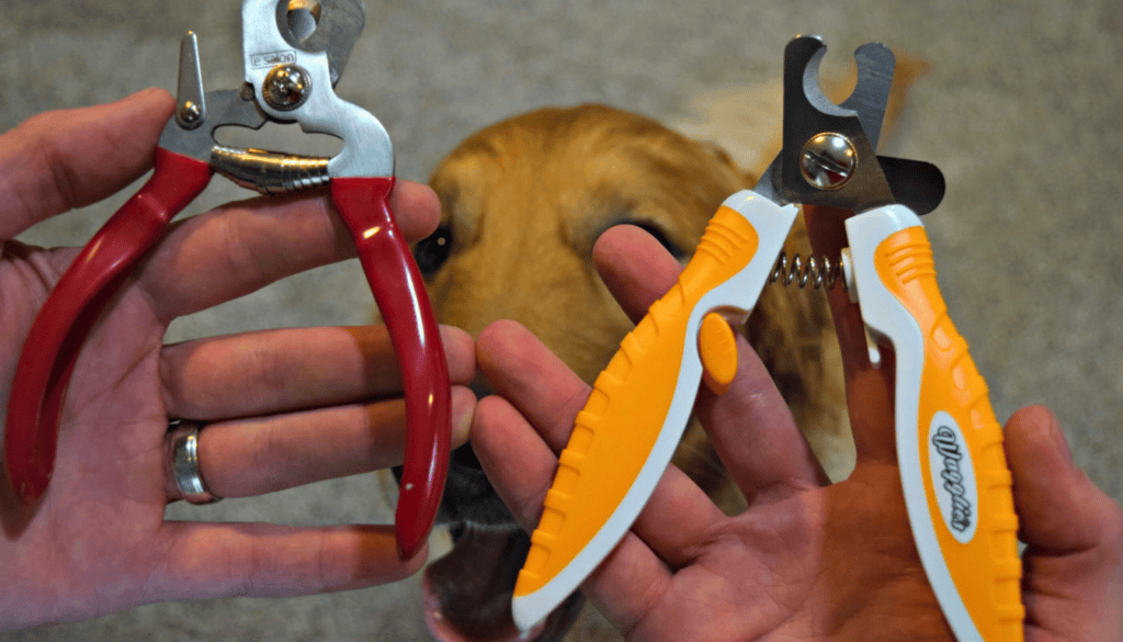 We researched and purchased 24 dog nail clippers for at home testing with real dogs We researched and purchased 24 dog nail clippers for at home testing with real dogs